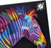 Polyester Decor 205g B1 med tryck